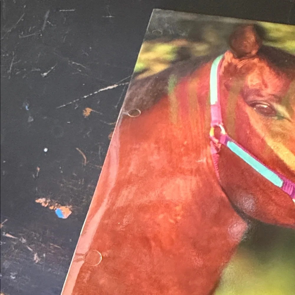 Vintage 90s Horses Folder for work, office, school, organization